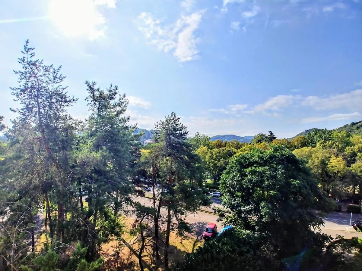 Hotel Carancini Salsomaggiore Terme 3*,